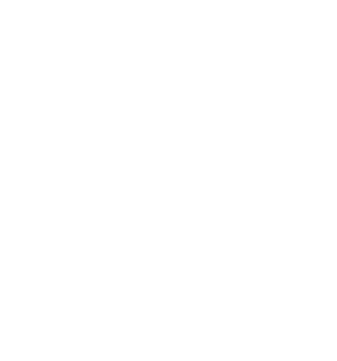 document icon